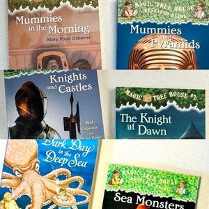 🆕 📚 Magic Tree House 6 book set